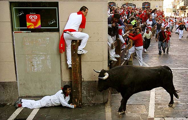 Click to Enlarge

Name: bull-fight.jpg
Size: 53 KB
