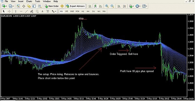 Click to Enlarge

Name: chart2.jpg
Size: 42 KB