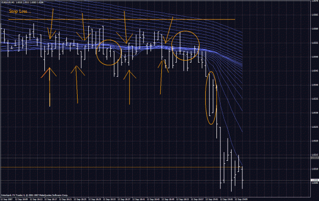 Click to Enlarge

Name: euraud-josh.gif
Size: 53 KB