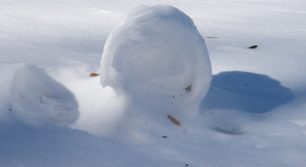 Click to Enlarge

Name: Snowroller.jpg
Size: 97 KB