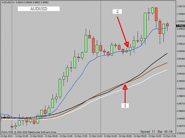 Click to Enlarge

Name: aud.jpg
Size: 56 KB