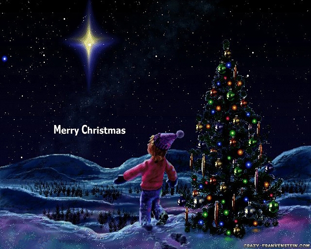 Click to Enlarge

Name: christmas-tree-at-night.jpg
Size: 389 KB