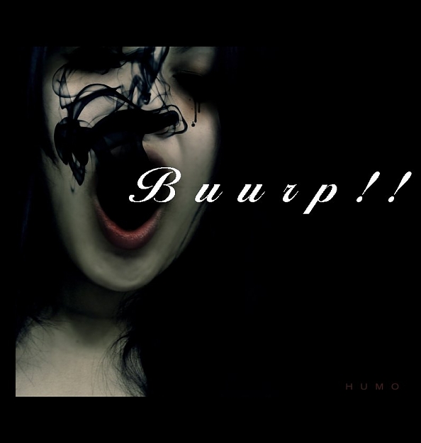 Click to Enlarge

Name: burp.jpg
Size: 42 KB