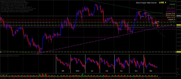 Click to Enlarge

Name: 7chi alert line FF.jpg
Size: 258 KB
