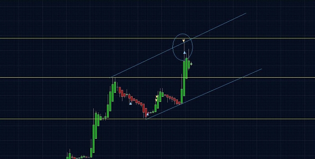 Click to Enlarge

Name: EU 1m short.jpg
Size: 98 KB