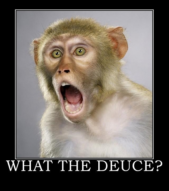 Click to Enlarge

Name: deuce2.jpg
Size: 47 KB