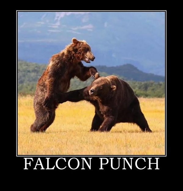 Click to Enlarge

Name: falcon-punch-demotivational-poster-1233674371.jpg
Size: 41 KB