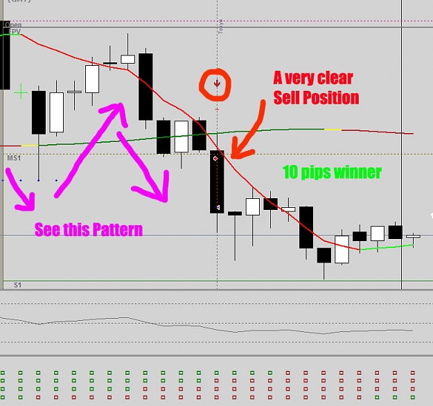 Click to Enlarge

Name: Trading-The-Coral-with-PM.jpg
Size: 95 KB