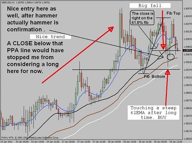 Click to Enlarge

Name: Wed b.JPG
Size: 89 KB