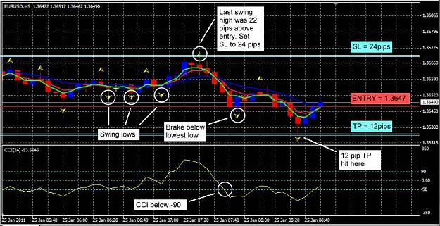 Click to Enlarge

Name: pad_test1.jpg
Size: 60 KB