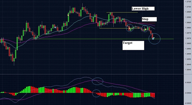 Click to Enlarge

Name: EU 1m shorts.jpg
Size: 113 KB