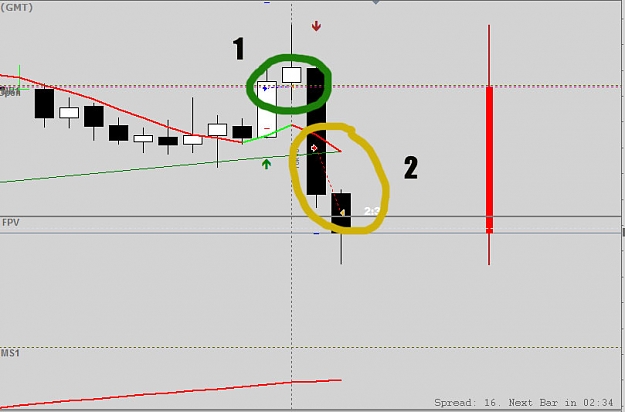 Click to Enlarge

Name: Trading-The-Coral-with-PM10.jpg
Size: 53 KB