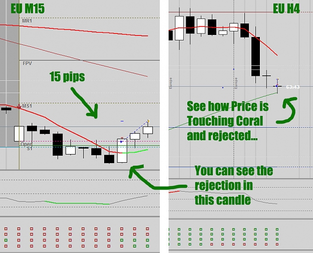 Click to Enlarge

Name: Trading-The-Coral-with-PM10.jpg
Size: 123 KB