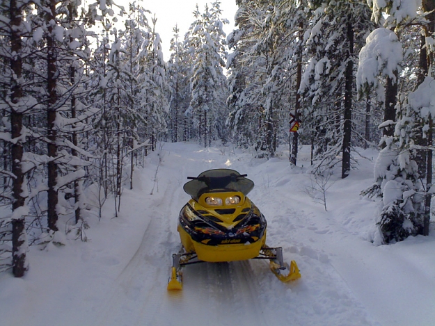 Click to Enlarge

Name: skidoo.jpg
Size: 226 KB