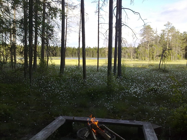 Click to Enlarge

Name: 20100616702.jpg
Size: 279 KB