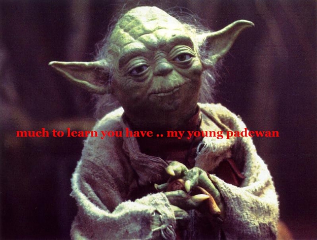Click to Enlarge

Name: yoda.jpg
Size: 67 KB