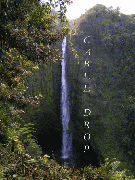 Click to Enlarge

Name: untitled.gif
Size: 238 KB
