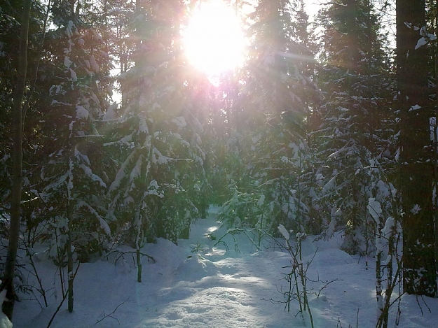 Click to Enlarge

Name: 201103131642.jpg
Size: 235 KB