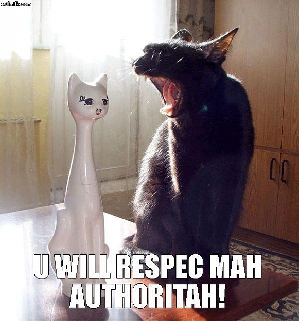 Click to Enlarge

Name: Respect_My_Authoritah.jpg
Size: 72 KB