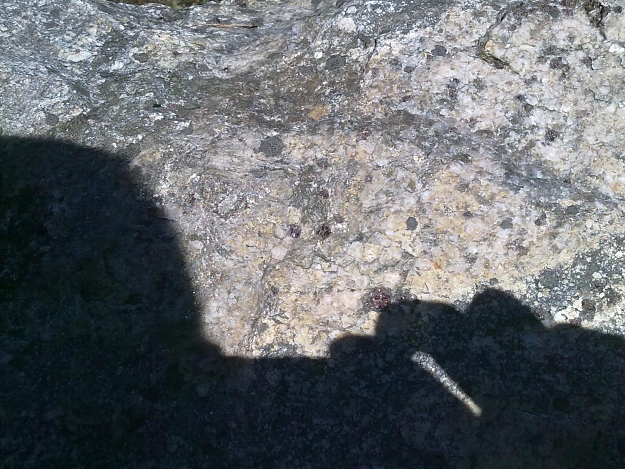 Click to Enlarge

Name: 201105071957.jpg
Size: 294 KB