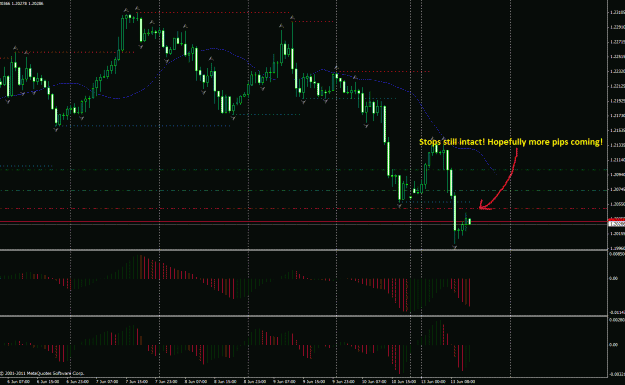 Click to Enlarge

Name: eurchf.gif
Size: 33 KB