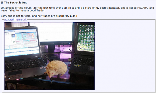 Click to Enlarge

Name: 22.png
Size: 496 KB
