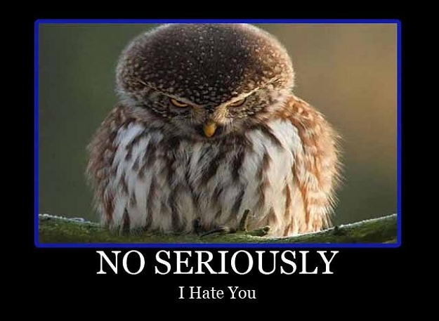 Click to Enlarge

Name: seriously-serious-owl-owl-demotivational-poster-funny-posters.jpg
Size: 86 KB