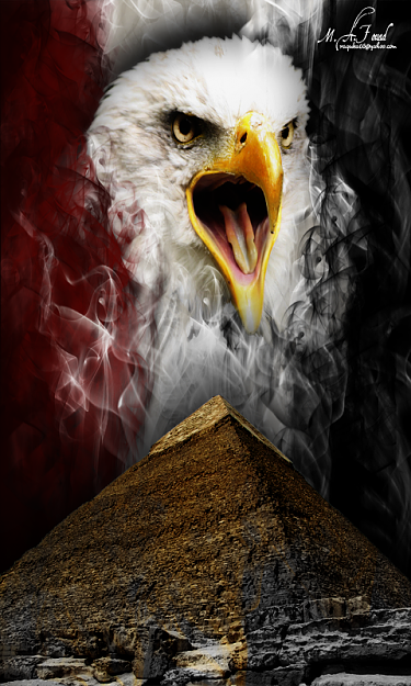 Click to Enlarge

Name: egyptr.png
Size: 659 KB