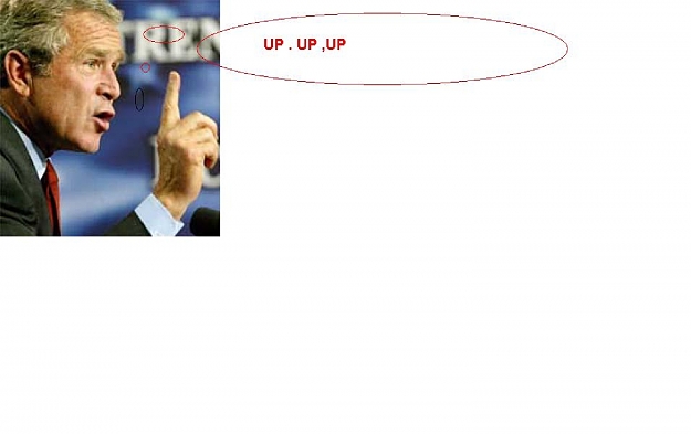 Click to Enlarge

Name: bush3.JPG
Size: 220 KB