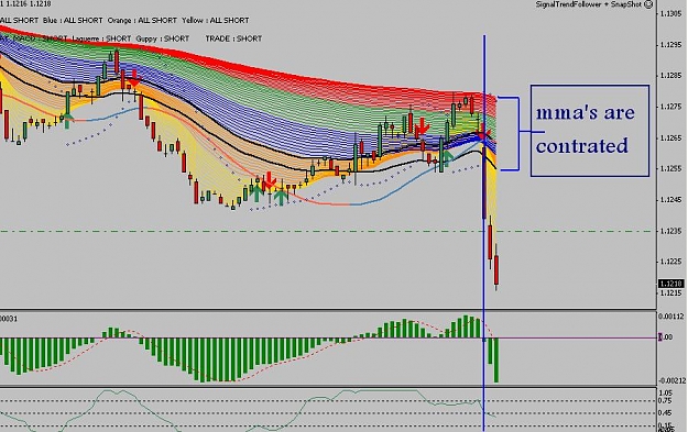 Click to Enlarge

Name: usdchf trend follower.JPG
Size: 95 KB