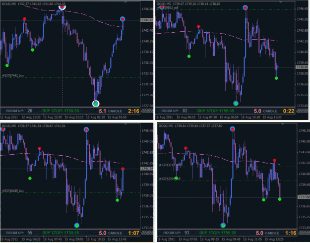 Click to Enlarge

Name: rtp_aug_gold_006.gif
Size: 48 KB