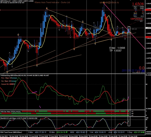 Click to Enlarge

Name: tp1.jpg
Size: 526 KB