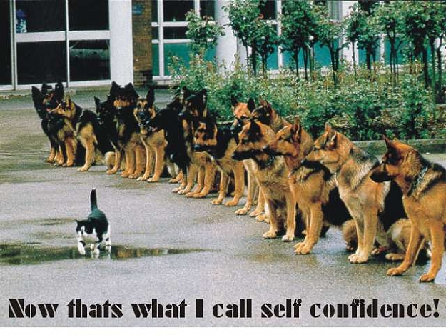 Click to Enlarge

Name: self-confidence.jpg
Size: 54 KB