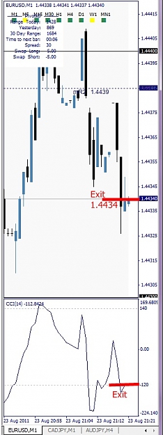 Click to Enlarge

Name: EURUSD, M1, 2011 August 23, 23h23.jpg
Size: 83 KB