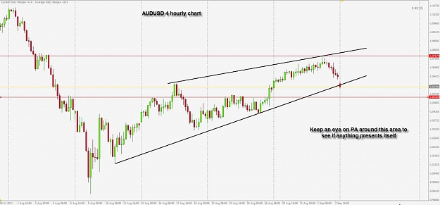 Click to Enlarge

Name: aud 4hr.jpg
Size: 85 KB