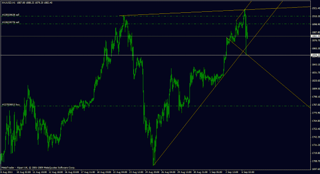 Click to Enlarge

Name: gold1h_02.gif
Size: 24 KB