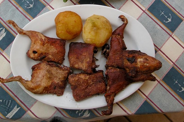 Click to Enlarge

Name: Guinea Pig.jpg
Size: 68 KB