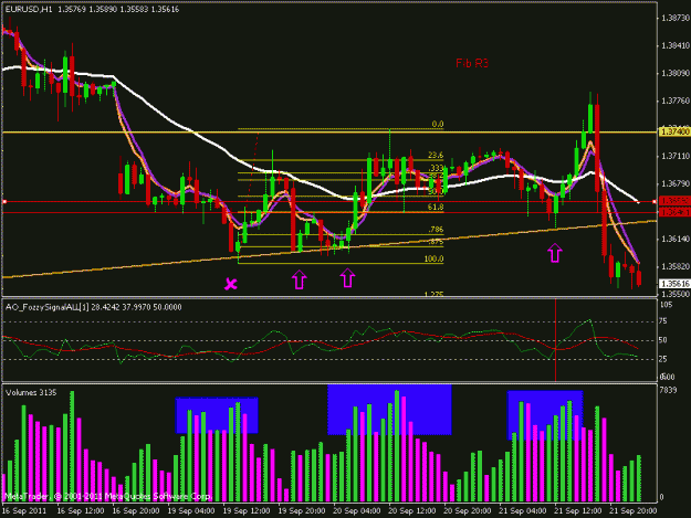 Click to Enlarge

Name: eurusd.gif
Size: 22 KB
