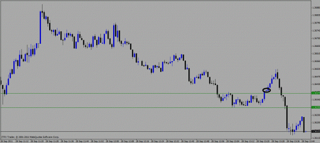 Click to Enlarge

Name: eurusd.gif
Size: 183 KB