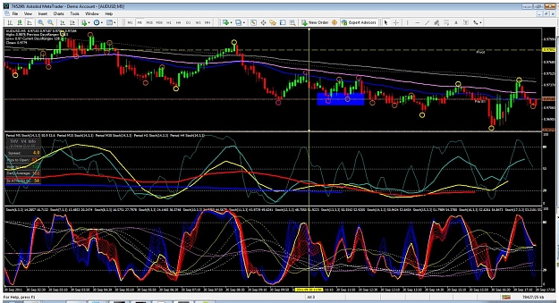 Click to Enlarge

Name: audusd.jpg
Size: 225 KB