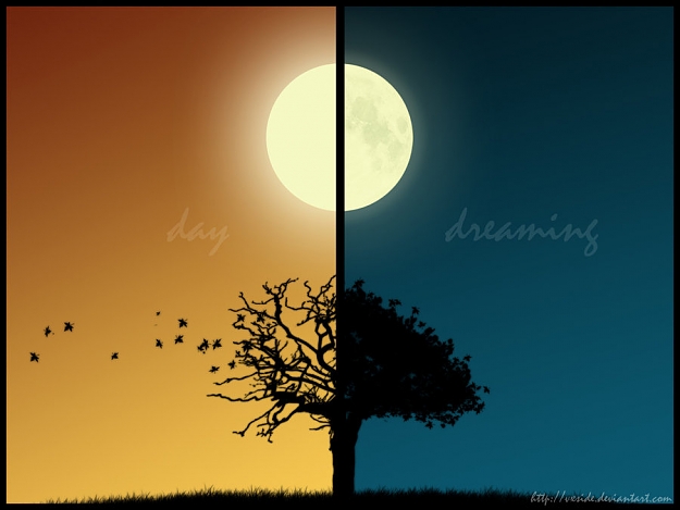 Click to Enlarge

Name: day_dreaming.jpg
Size: 61 KB