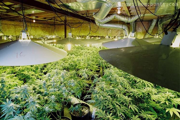 Click to Enlarge

Name: indoor_marijuana_garden.jpg
Size: 91 KB