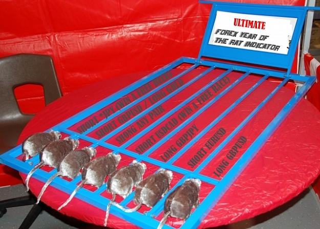 Click to Enlarge

Name: rat.jpg
Size: 229 KB