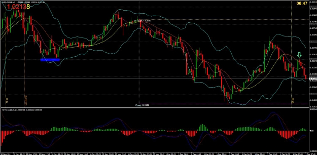 Click to Enlarge

Name: au short 1 dec.jpg
Size: 126 KB