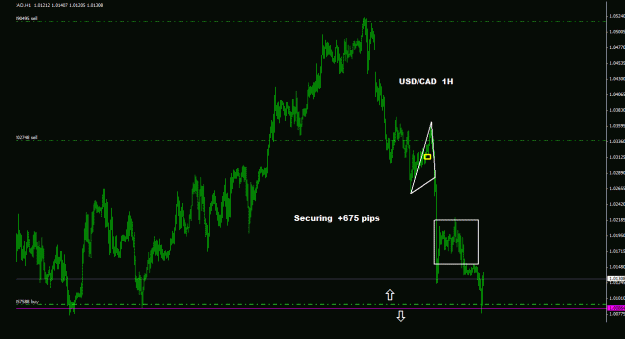 Click to Enlarge

Name: usdcad_1h_077.gif
Size: 20 KB