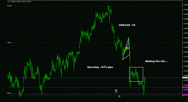 Click to Enlarge

Name: usdcad_1h_011.gif
Size: 20 KB