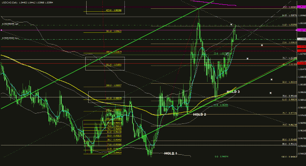 Click to Enlarge

Name: usdcad_daily_044.gif
Size: 43 KB
