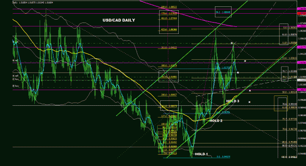 Click to Enlarge

Name: usdcad_daily_022.gif
Size: 49 KB