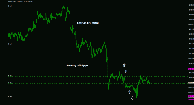 Click to Enlarge

Name: usdcad_30m_011.gif
Size: 17 KB