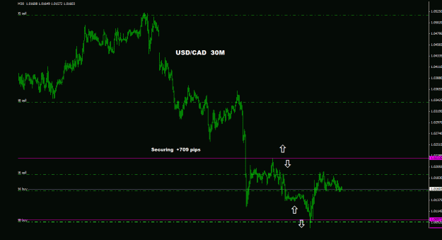 Click to Enlarge

Name: usdcad_30m_011.gif
Size: 17 KB